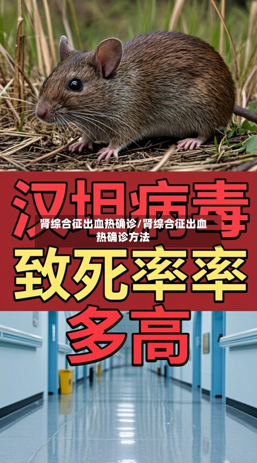 肾综合征出血热确诊/肾综合征出血热确诊方法