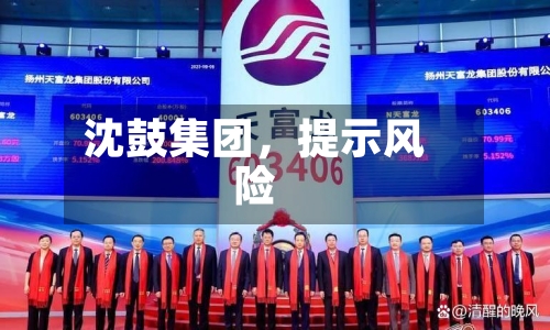 沈鼓集团,提示风险