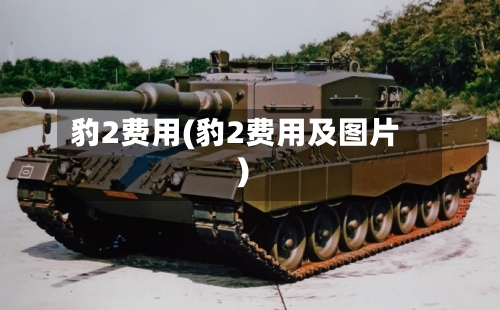 豹2费用(豹2费用及图片)-第2张图片