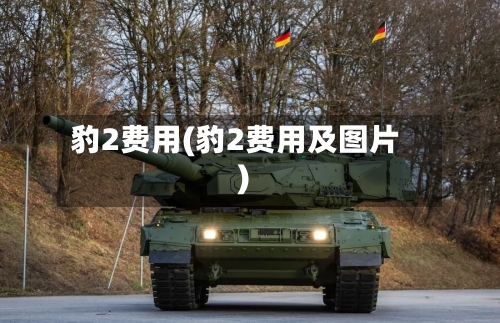 豹2费用(豹2费用及图片)