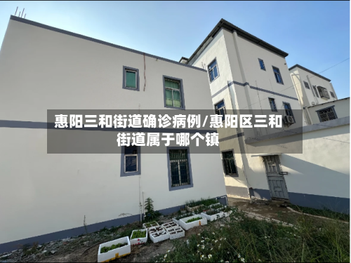 惠阳三和街道确诊病例/惠阳区三和街道属于哪个镇-第2张图片
