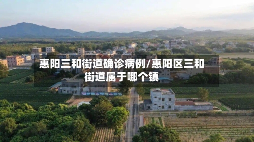 惠阳三和街道确诊病例/惠阳区三和街道属于哪个镇-第3张图片
