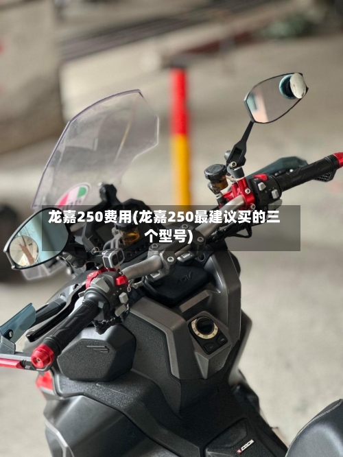 龙嘉250费用(龙嘉250最建议买的三个型号)-第1张图片