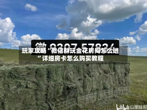 玩家攻略“微信群玩金花房间怎么进”详细房卡怎么购买教程