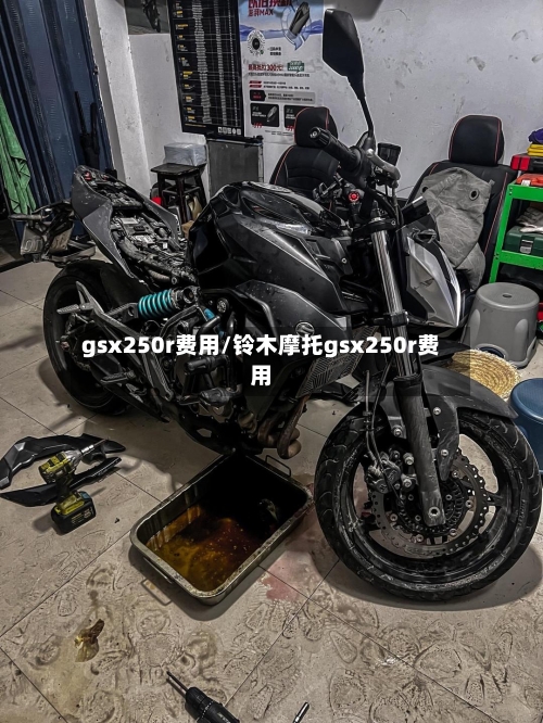 gsx250r费用/铃木摩托gsx250r费用