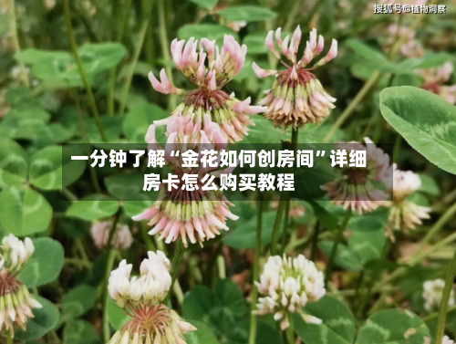 一分钟了解“金花如何创房间”详细房卡怎么购买教程