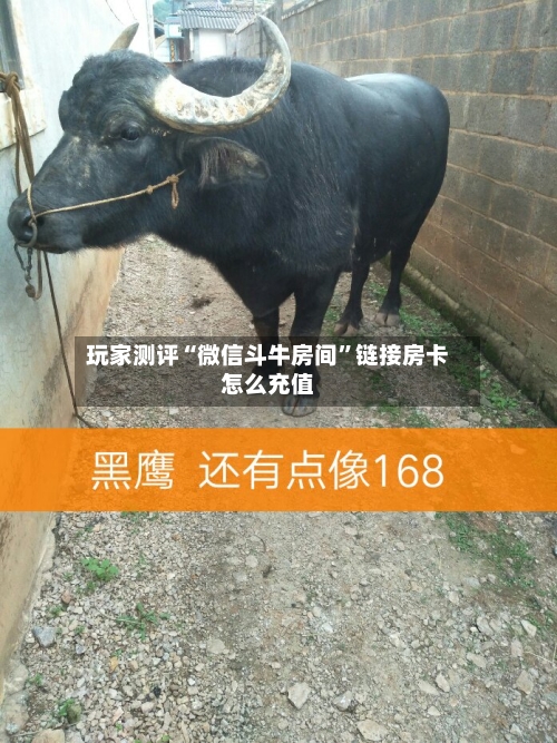 玩家测评“微信斗牛房间”链接房卡怎么充值