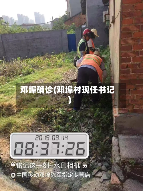 邓埠确诊(邓埠村现任书记)