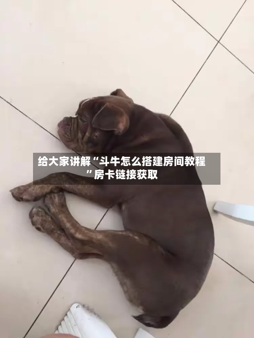 给大家讲解“斗牛怎么搭建房间教程”房卡链接获取
