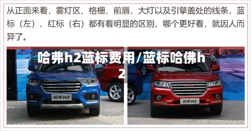 哈弗h2蓝标费用/蓝标哈佛h2-第3张图片
