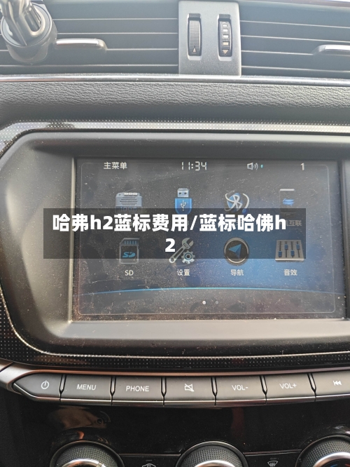 哈弗h2蓝标费用/蓝标哈佛h2-第2张图片