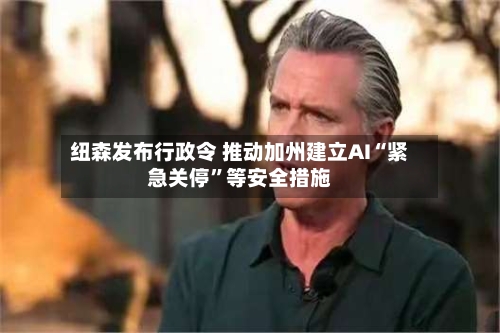 纽森发布行政令 推动加州建立AI“紧急关停”等安全措施-第3张图片