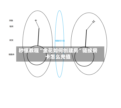 秒懂教程“金花如何创建房”链接房卡怎么充值