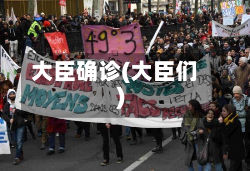 大臣确诊(大臣们)-第3张图片