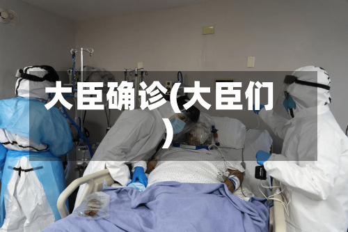 大臣确诊(大臣们)-第2张图片