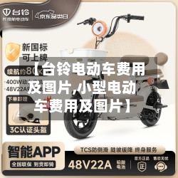 【台铃电动车费用及图片,小型电动车费用及图片】-第2张图片