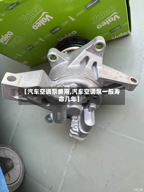 【汽车空调泵费用,汽车空调泵一般寿命几年】-第3张图片