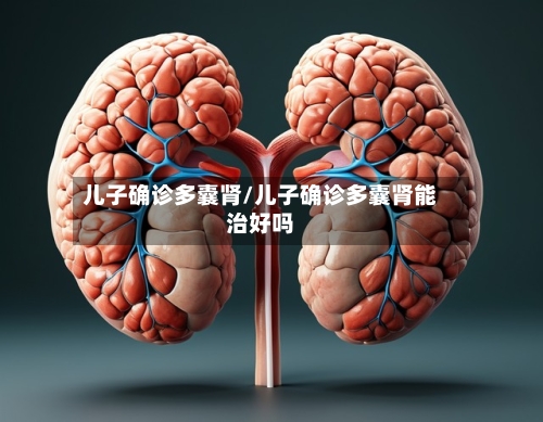 儿子确诊多囊肾/儿子确诊多囊肾能治好吗-第2张图片