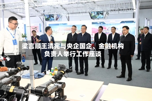 梁言顺王清宪与央企国企、金融机构负责人举行工作座谈
