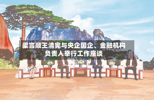 梁言顺王清宪与央企国企、金融机构负责人举行工作座谈-第2张图片