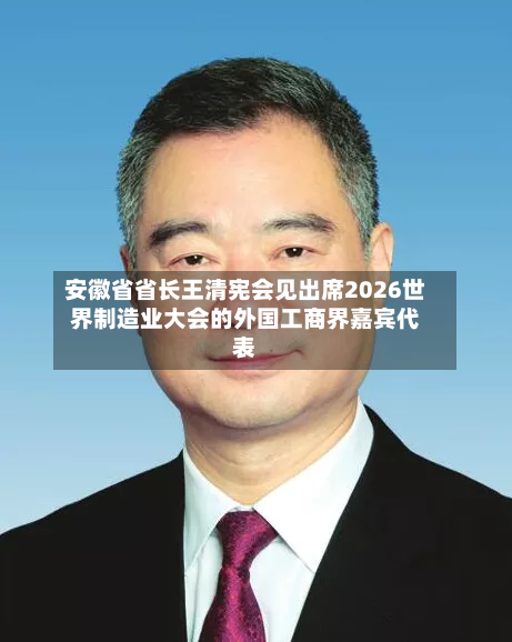 安徽省省长王清宪会见出席2026世界制造业大会的外国工商界嘉宾代表