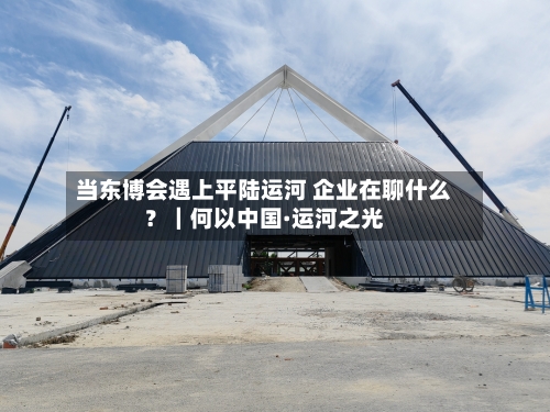 当东博会遇上平陆运河 企业在聊什么?|何以中国·运河之光-第2张图片