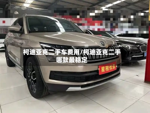 柯迪亚克二手车费用/柯迪亚克二手哪款最稳定-第3张图片