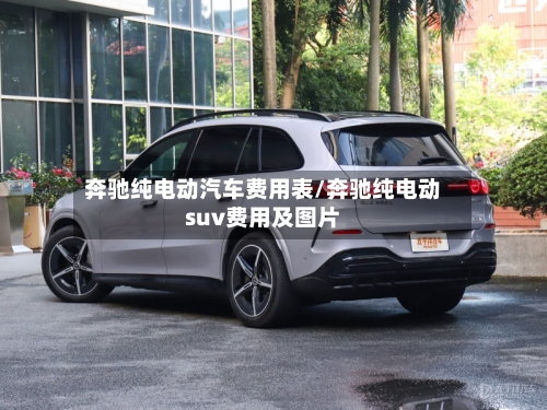 奔驰纯电动汽车费用表/奔驰纯电动suv费用及图片