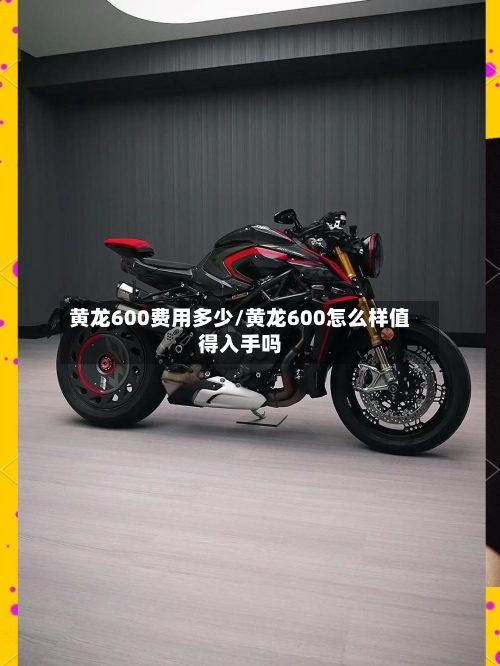 黄龙600费用多少/黄龙600怎么样值得入手吗