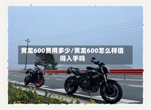 黄龙600费用多少/黄龙600怎么样值得入手吗-第2张图片