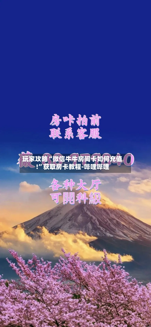 玩家攻略“微信牛牛房间卡如何充值!	”获取房卡教程-哔哩哔哩-第2张图片
