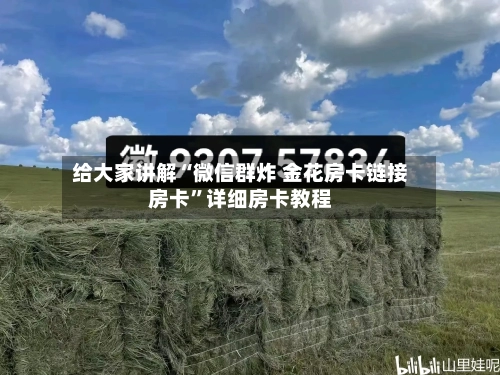 给大家讲解“微信群炸 金花房卡链接房卡	”详细房卡教程-第2张图片