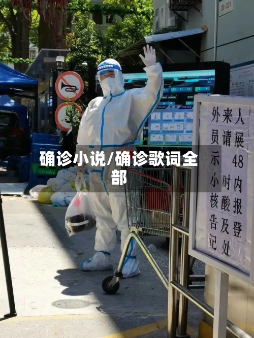 确诊小说/确诊歌词全部