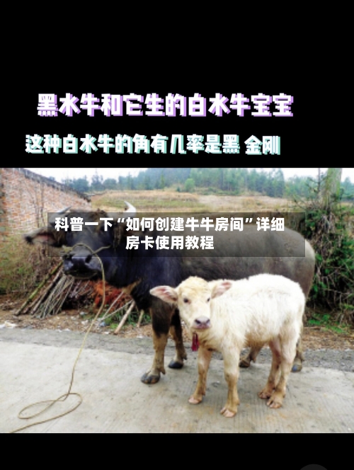 科普一下“如何创建牛牛房间”详细房卡使用教程