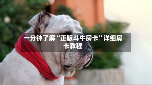 一分钟了解“正版斗牛房卡”详细房卡教程-第3张图片