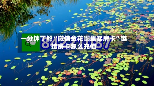 一分钟了解“微信金花哪里买房卡”链接房卡怎么充值