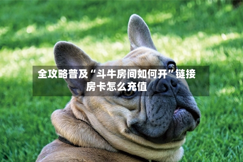 全攻略普及“斗牛房间如何开”链接房卡怎么充值