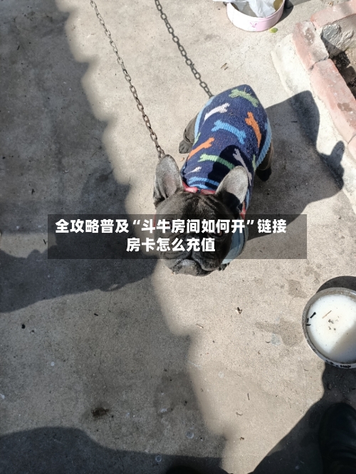 全攻略普及“斗牛房间如何开”链接房卡怎么充值-第3张图片