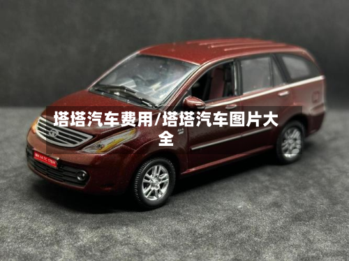 塔塔汽车费用/塔塔汽车图片大全-第3张图片
