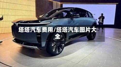 塔塔汽车费用/塔塔汽车图片大全-第2张图片