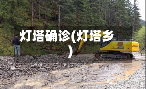 灯塔确诊(灯塔乡)-第2张图片