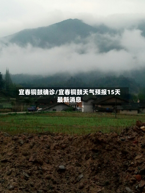 宜春铜鼓确诊/宜春铜鼓天气预报15天最新消息