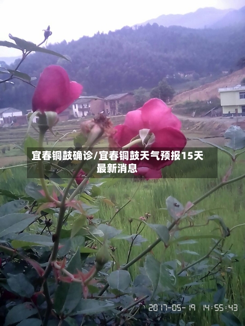 宜春铜鼓确诊/宜春铜鼓天气预报15天最新消息-第2张图片