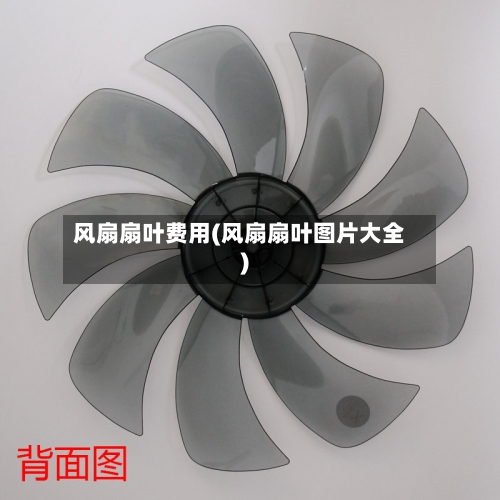 风扇扇叶费用(风扇扇叶图片大全)-第1张图片