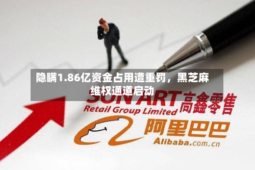 隐瞒1.86亿资金占用遭重罚，黑芝麻维权通道启动-第2张图片
