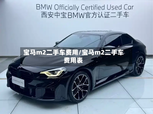 宝马m2二手车费用/宝马m2二手车费用表-第2张图片