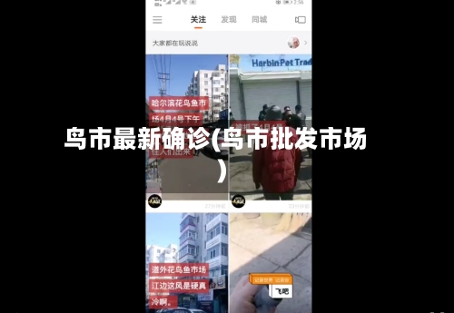 鸟市最新确诊(鸟市批发市场)
