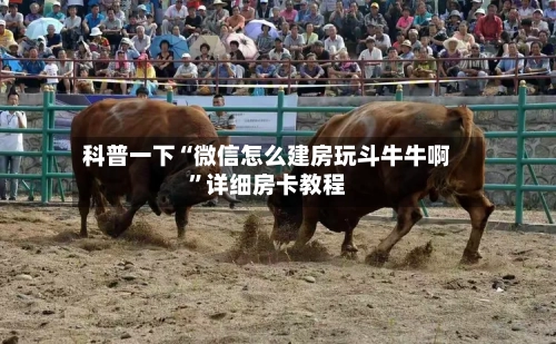 科普一下“微信怎么建房玩斗牛牛啊”详细房卡教程-第3张图片