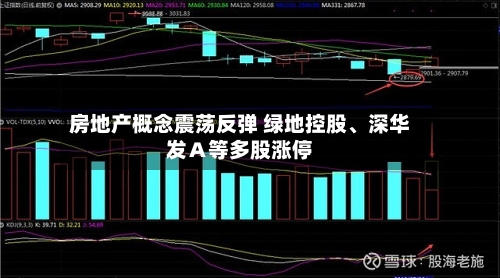 房地产概念震荡反弹 绿地控股、深华发Ａ等多股涨停
