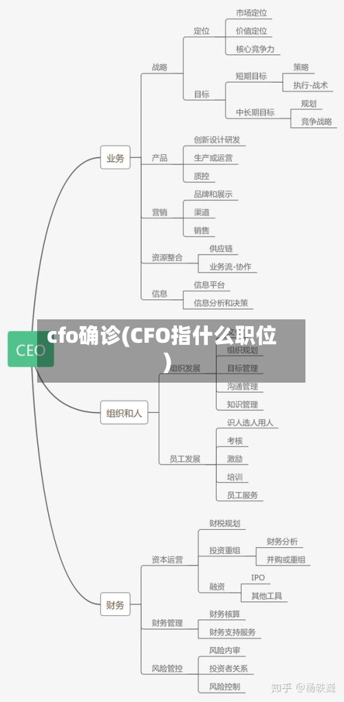 cfo确诊(CFO指什么职位)